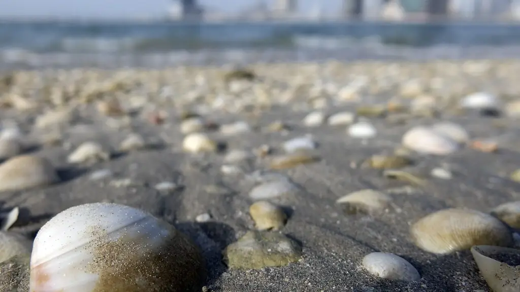 Waters of the Persian Gulf