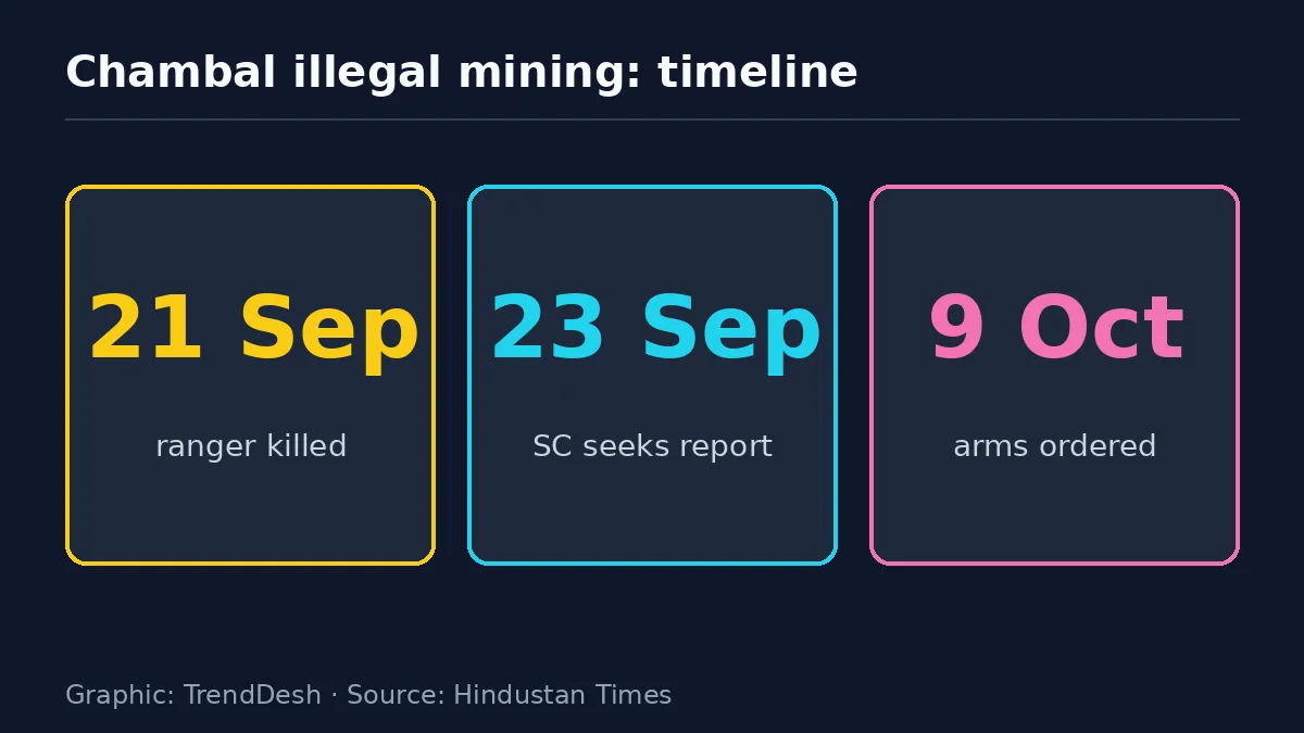 Chambal illegal mining: data graphic of key reported figures