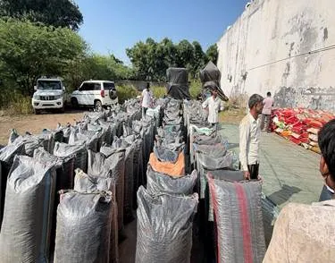 poppy straw seizure: Poppy straw seized along with the Tata truck in Mandsaur.