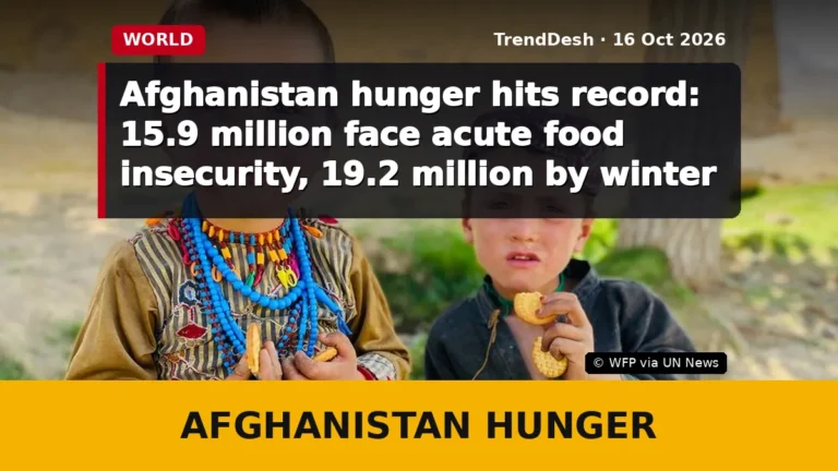 Afghanistan hunger hits record: 15.9 million face acute food insecurity, 19.2 million by winter