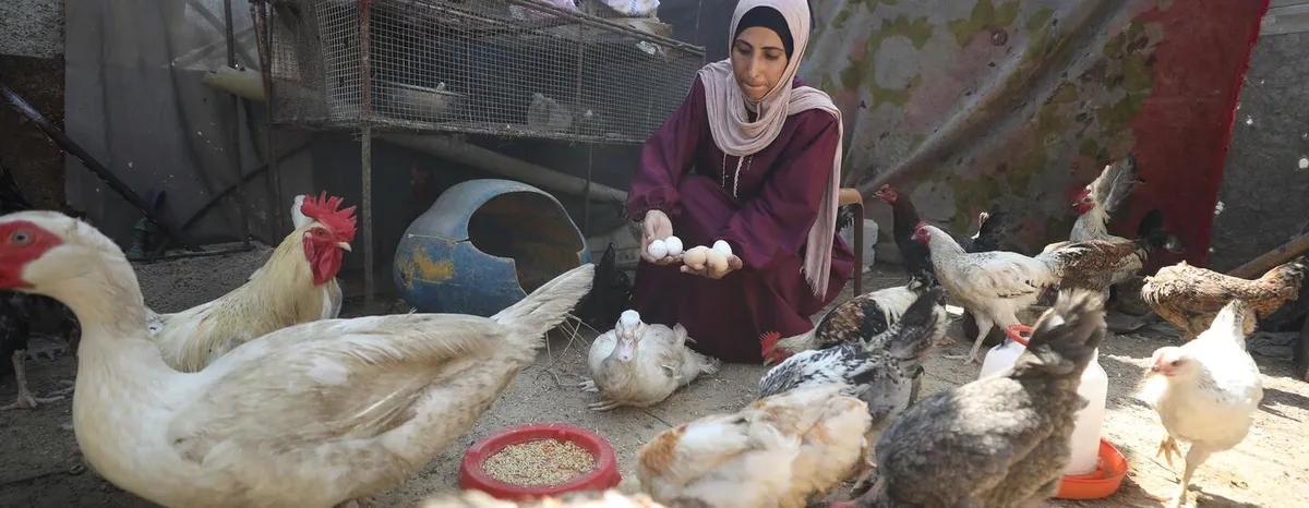 Gaza women entrepreneurs: Nidaa with the chickens and ducks she raises in Gaza.