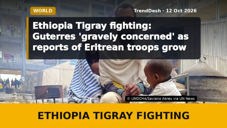Ethiopia Tigray fighting: Guterres ‘gravely concerned’ as reports of Eritrean troops grow