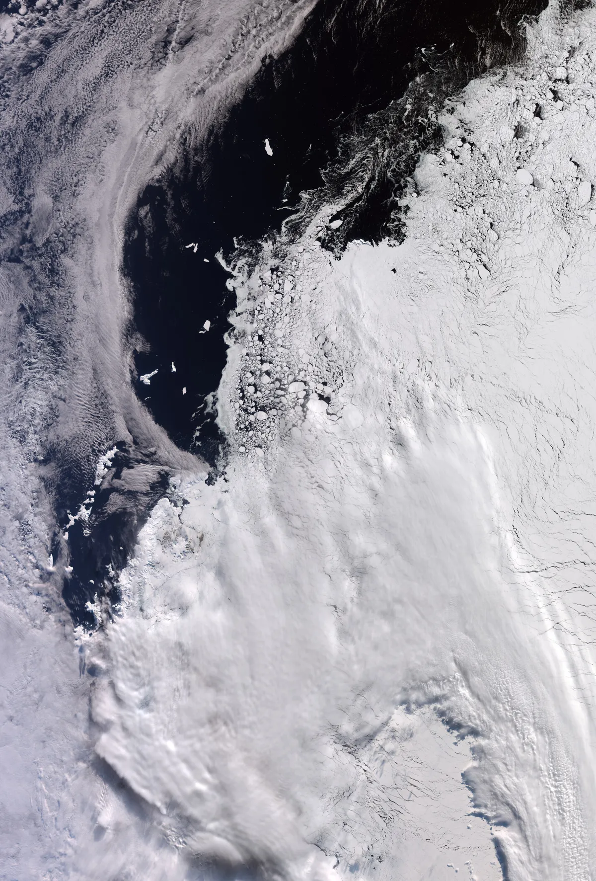 Antarctic sea ice: Sea ice around the tip of the Antarctic Peninsula, seen by Copernicus Sentinel-3 on 30 September 2026