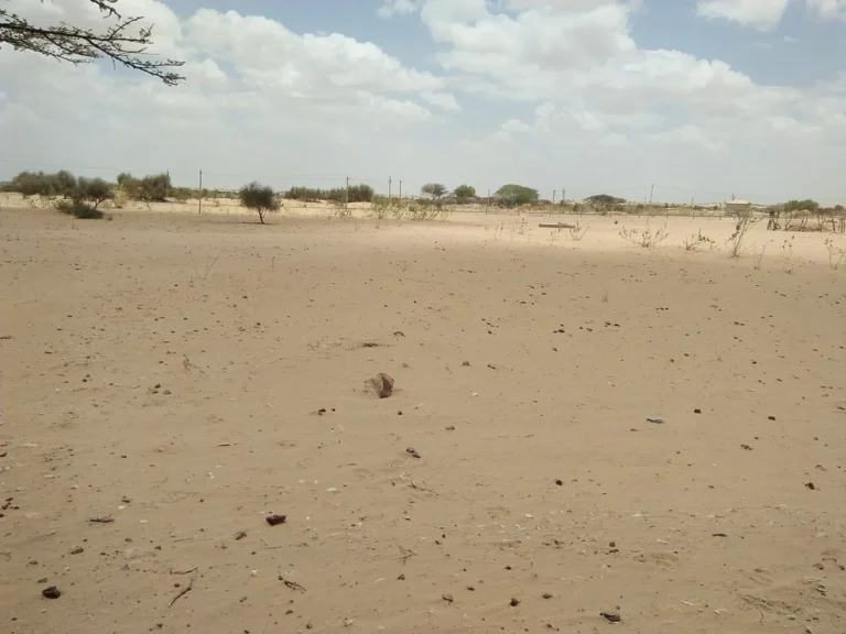 Gehlot asks Rajasthan to plan for drought-like stress